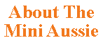 Text Box: About The  Mini Aussie
