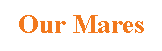 Text Box: Our Mares