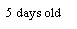 Text Box: 5 days old