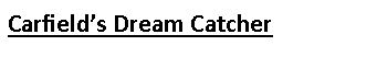 Text Box: Carfield’s Dream Catcher