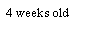 Text Box: 4 weeks old