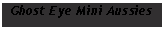 Text Box: Ghost Eye Mini Aussies