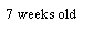 Text Box: 7 weeks old