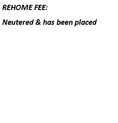 Text Box: REHOME FEE: Neutered & has been placed
