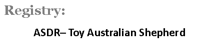 Text Box: Registry:    	ASDR– Toy Australian Shepherd