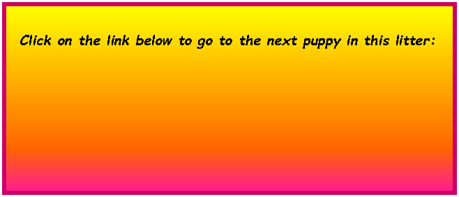 Text Box: Click on the link below to go to the next puppy in this litter:      	        