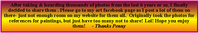 Text Box: After taking & hoarding thousands of photos from the last 6 years or so, I finally decided to share them . Please go to my art facebook page as I post a lot of them on there- just not enough room on my website for them all. Originally took the photos for references for paintings, but just have too many not to share! Lol! Hope you enjoy them! - Thanks Penny