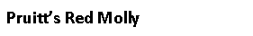 Text Box: Pruitt’s Red Molly 