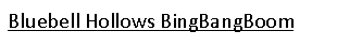 Text Box: Bluebell Hollows BingBangBoom