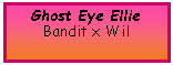 Text Box: Ghost Eye EllieBandit x Wil
