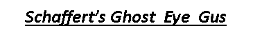 Text Box: Schaffert’s Ghost  Eye  Gus 