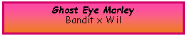 Text Box: Ghost Eye MarleyBandit x Wil