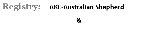 Text Box: Registry:    AKC-Australian Shepherd 				& 