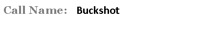 Text Box: Call Name:   Buckshot