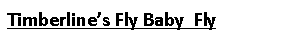 Text Box: Timberline’s Fly Baby  Fly