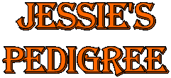 Jessie's
pedigree