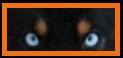 Jack's eyes