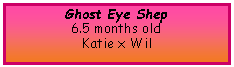 Text Box: Ghost Eye Shep6.5 months old Katie x Wil