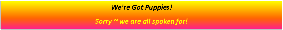 Text Box: We’re Got Puppies!Sorry ~ we are all spoken for!