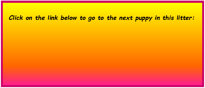Text Box:  Click on the link below to go to the next puppy in this litter:        	        