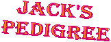 Jack's 
Pedigree