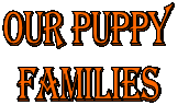 our puppy
families
