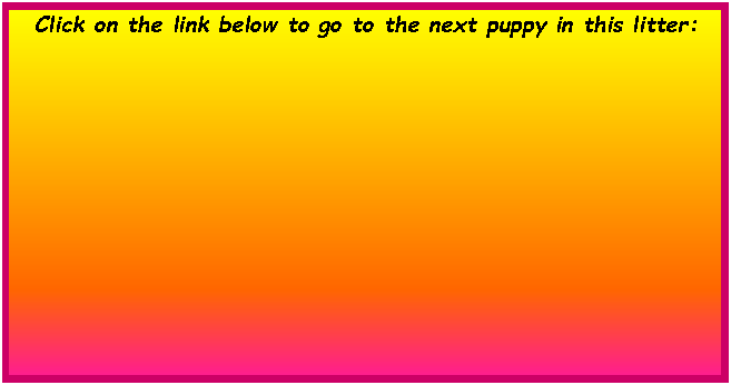 Text Box:  Click on the link below to go to the next puppy in this litter:        	        