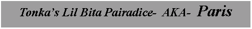Text Box: Tonka�s Lil Bita Pairadice-  AKA-  Paris